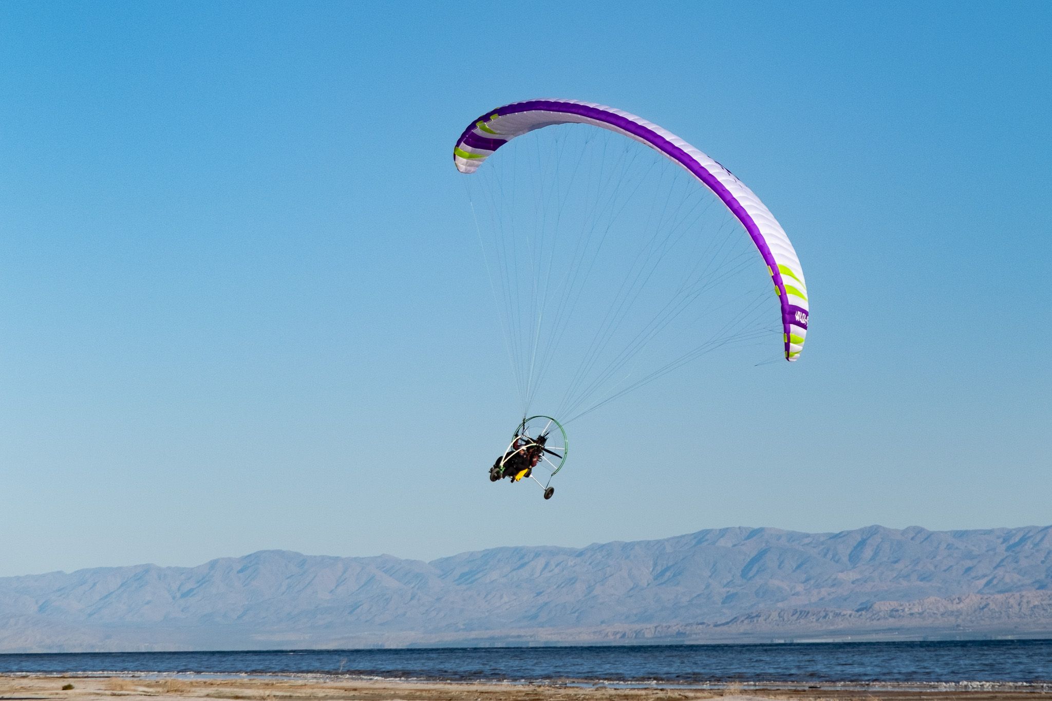 WASA-BI MOTOR WINGS 01