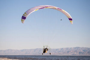WASA-BI MOTOR WINGS 04