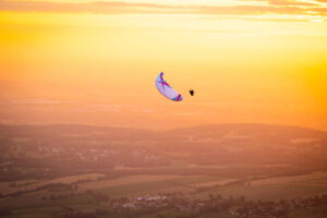 WASABI MOTOR WINGS 04